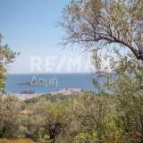  For Sale - (€ 0 / m2), Agricultural 4300 m2 Skiathos 7853298 thumb8