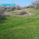  For sale investment area of 20.200sq.m. in Lesvos (Mithymna) consisting of 5 separate perfect and buildable plots, of 4 acres each, each building a house of 160sqm, either together or separately (60,000 each).Ideal for investment with panoramic views of M Lesbos (Mitilini) 8153475 thumb1