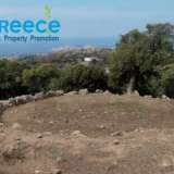  For sale investment area of 20.200sq.m. in Lesvos (Mithymna) consisting of 5 separate perfect and buildable plots, of 4 acres each, each building a house of 160sqm, either together or separately (60,000 each).Ideal for investment with panoramic views of M Lesbos (Mitilini) 8153475 thumb3