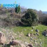  For sale investment area of 20.200sq.m. in Lesvos (Mithymna) consisting of 5 separate perfect and buildable plots, of 4 acres each, each building a house of 160sqm, either together or separately (60,000 each).Ideal for investment with panoramic views of M Lesbos (Mitilini) 8153475 thumb2