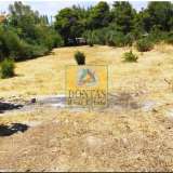  (For Sale) Land Plot || East Attica/Agios Stefanos - 1.540 Sq.m, 300.000€ Athens 7853676 thumb2