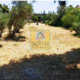  (For Sale) Land Plot || East Attica/Agios Stefanos - 1.540 Sq.m, 300.000€ Athens 7853676 thumb3