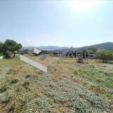  (For Sale) Land Plot || East Attica/Anavyssos - 3.820 Sq.m, 1.300.000€ Anavyssos 7953833 thumb7
