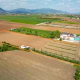  For Sale - (€ 0 / m2), Agricultural 10000 m2 Drama 8154022 thumb1