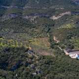  For Sale - (€ 0 / m2), Agricultural 27379 m2 Epidavros 8154025 thumb5