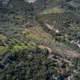  For Sale - (€ 0 / m2), Agricultural 27379 m2 Epidavros 8154025 thumb4