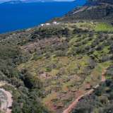  For Sale - (€ 0 / m2), Agricultural 27379 m2 Epidavros 8154025 thumb0