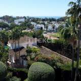  Zeitloses Designvilla in natürlicher Umgebung in Marbella Marbella 8154280 thumb5