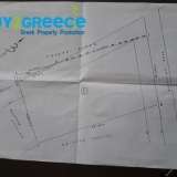  For sale a plot of 1,218 sq.m. in Polydroso Parnassos, within the plan with a building factor of 1.2 and ideal for investmentInformation: 00302107710150 â€“ 00306945051223BUY2GREECEâ€“ Real Estate Tsioumis TheodorePapagouAvenue 1 Parnassos 8154293 thumb4