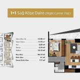  Wohnungen in einem Komplex mit Pool in Bornova İzmir Bornova 8154300 thumb24
