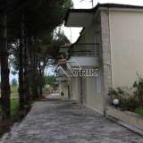  VERY CLOSE TO THE BEACH AND THE CENTER OF THE VILLAGE Pallini 3854432 thumb0