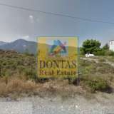 (For Sale) Land Plot || East Attica/Dionysos - 792 Sq.m, 170.000€ Dionysos 8054047 thumb0