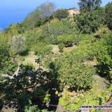  Semi – detached property with stunning sea view Amantea 6654566 thumb4