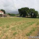  Building land in excellent residential context Scalea 6654644 thumb11