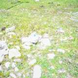 Regulated plot of land near river, road and forest in Ribaritza village Ribaritsa village 6254684 thumb16