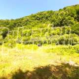  Regulated plot of land near river, road and forest in Ribaritza village Ribaritsa village 6254684 thumb5