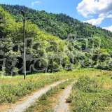  Regulated plot of land near river, road and forest in Ribaritza village Ribaritsa village 6254684 thumb7