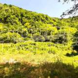  Земельный участок рядом с рекой и лесом в деревне Рибарица с. Рибарица 6254684 thumb2