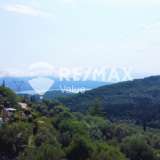 For Sale - (€ 0 / m2), Agricultural 5382 m2 Lefkada 7854686 thumb0