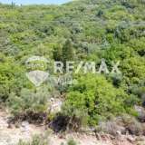  For Sale - (€ 0 / m2), Agricultural 5382 m2 Lefkada 7854686 thumb5