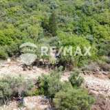  For Sale - (€ 0 / m2), Agricultural 5382 m2 Lefkada 7854686 thumb8