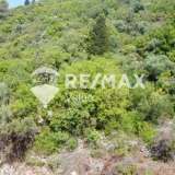  For Sale - (€ 0 / m2), Agricultural 5382 m2 Lefkada 7854686 thumb6