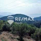  For Sale - (€ 0 / m2), Agricultural 5382 m2 Lefkada 7854686 thumb4