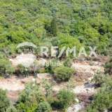 For Sale - (€ 0 / m2), Agricultural 5382 m2 Lefkada 7854686 thumb9