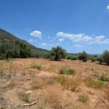  For Sale - (€ 0 / m2), Agricultural 9800 m2 Ermioni 8154770 thumb5