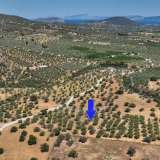  For Sale - (€ 0 / m2), Agricultural 9800 m2 Ermioni 8154770 thumb3