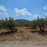  For Sale - (€ 0 / m2), Agricultural 9800 m2 Ermioni 8154770 thumb4