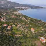  For Sale - (€ 0 / m2), Agricultural 4200 m2 Epidavros 8154800 thumb8