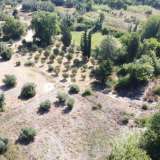  For Sale - (€ 0 / m2), Agricultural 9453 m2 Lefkada 7955144 thumb7