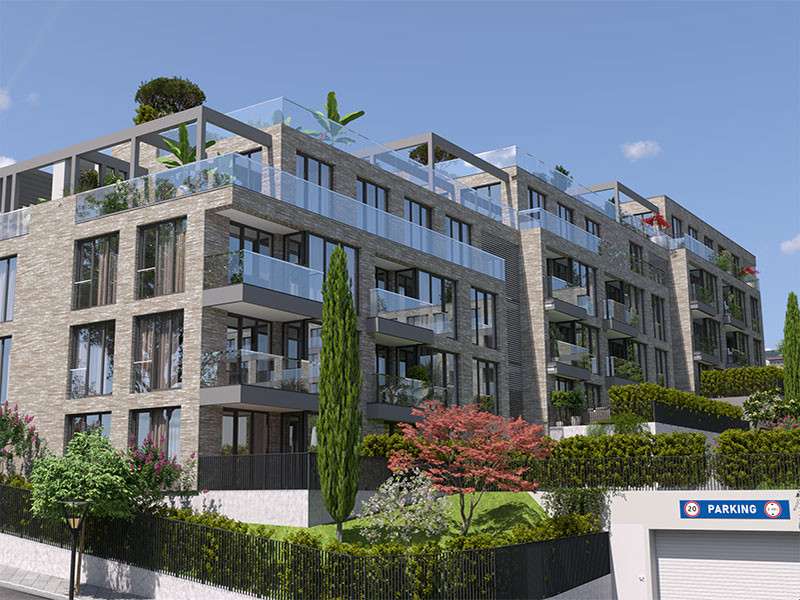 Botanic Panorama