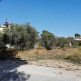  (For Sale) Land Plot || East Attica/Artemida-Loutsa - 542 Sq.m, 65.000€ Athens 7455371 thumb0