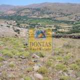  (For Sale) Land Plot || Lesvos/Eresos - 220.000 Sq.m, 2.800.000€ Eresos 7755396 thumb10