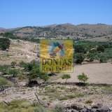  (For Sale) Land Plot || Lesvos/Eresos - 220.000 Sq.m, 2.800.000€ Eresos 7755396 thumb5
