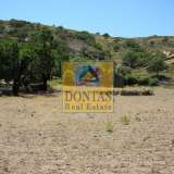  (For Sale) Land Plot || Lesvos/Eresos - 220.000 Sq.m, 2.800.000€ Eresos 7755396 thumb2