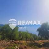  For Sale - (€ 0 / m2), Agricultural 6899 m2 Lefkada 7655596 thumb2