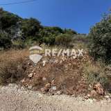  For Sale - (€ 0 / m2), Agricultural 6899 m2 Lefkada 7655596 thumb3