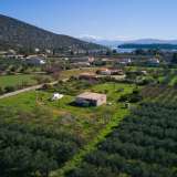  For Sale - (€ 0 / m2), Agricultural 5800 m2 Ermioni 8155825 thumb4