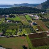  For Sale - (€ 0 / m2), Agricultural 5800 m2 Ermioni 8155825 thumb9