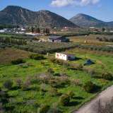  For Sale - (€ 0 / m2), Agricultural 5800 m2 Ermioni 8155825 thumb2