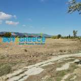  For sale two plots of total area of 13.675sqm (in fact they are two adjacent plots of 5971 and 7704sqm each), perfect and buildable which with their union can build more than 500sqm for residence and 1000sqm for tourist exploitation. Ideal for olive culti Thessaloniki 8055926 thumb0