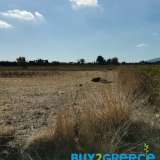  For sale two plots of total area of 13.675sqm (in fact they are two adjacent plots of 5971 and 7704sqm each), perfect and buildable which with their union can build more than 500sqm for residence and 1000sqm for tourist exploitation. Ideal for olive culti Thessaloniki 8055926 thumb1