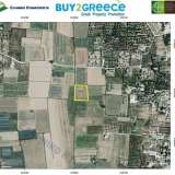  For sale a buildable plot of 4.717,73sqm in a privileged location in Livadi (Ampelokipi area), just 2 kilometers from Zakynthos airport, 3.5 kilometers from the city and 500 meters from the National Road Zakynthos-Keri. Possibility to sell two adjacent pl Thessaloniki 8055932 thumb3