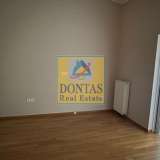  (For Rent) Residential Detached house || East Attica/Drosia - 330 Sq.m, 4 Bedrooms, 2.200€ Drosia 8055994 thumb13