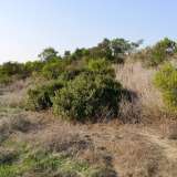  583m2 Plot of Land For Sale in Alethriko with Land DeedsPrice Reduction!! (was €70.000)This flat, untouched triangular shape plot of land is situated at the end of a T road, in the traditional village of Alethriko. Access to the moto Alethriko 7556431 thumb8