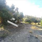  (For Sale) Land Plot || East Attica/Kalyvia-Lagonisi - 335 Sq.m, 115.000€ Lagonisi 7956599 thumb4