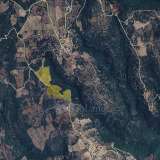  For Sale - (€ 0 / m2), Agricultural 38296 m2 Petalidi 8156770 thumb3